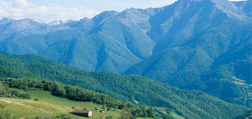 Noticia Vive la magia del otoño en el Valle de Liébana 