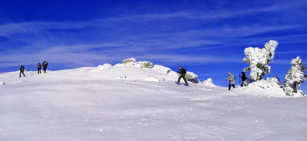 Valle del Tena- Raquetas de nieve. (Puente de Reyes).