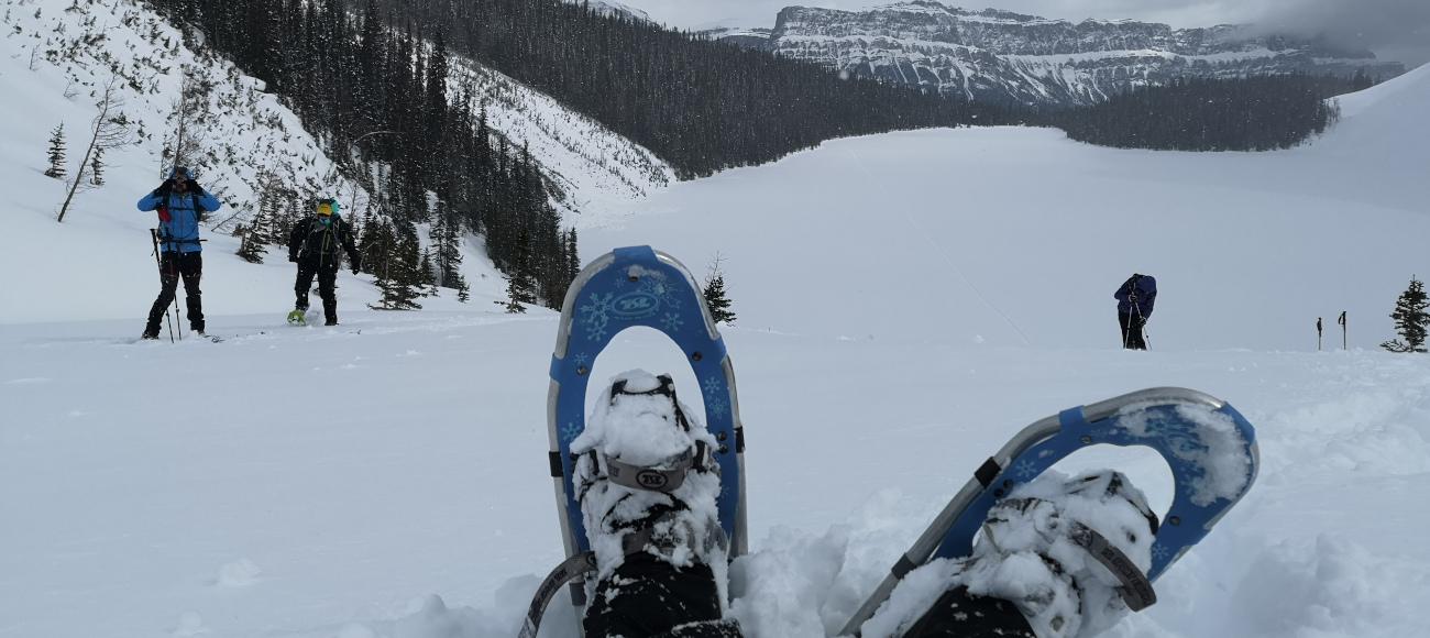 Raquetas de nieve en Navafría.