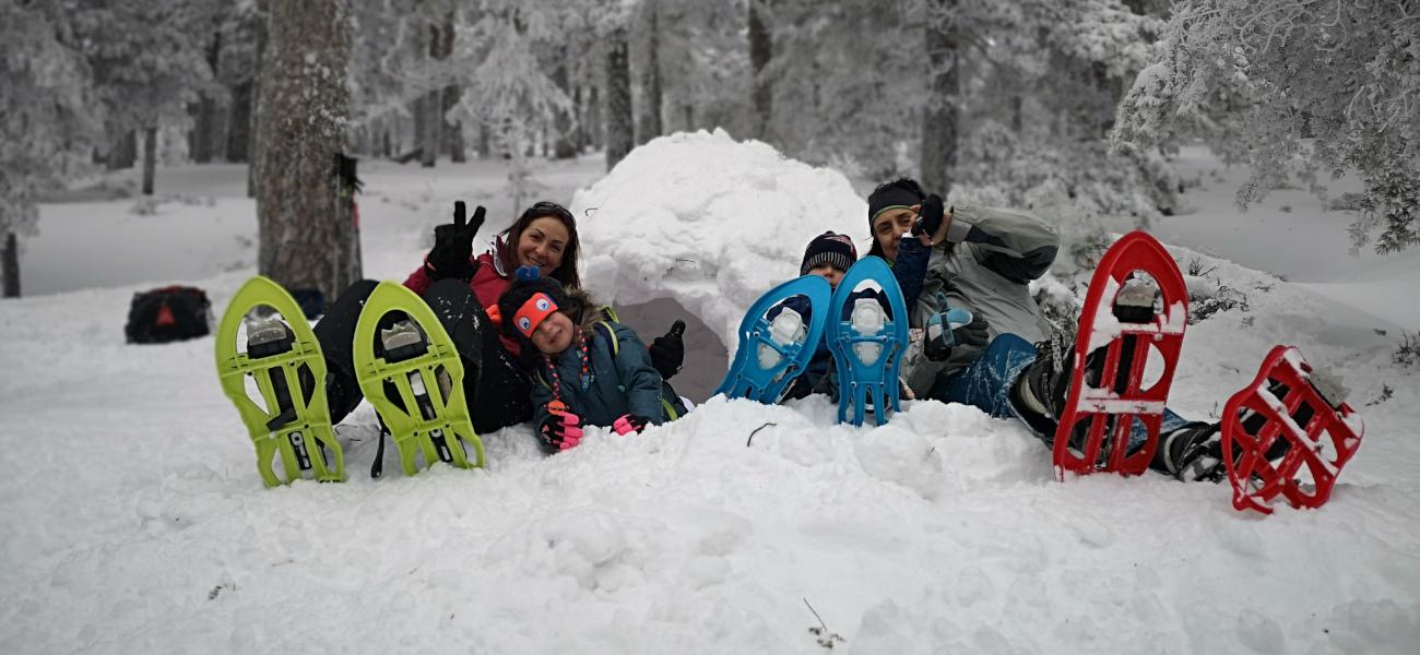 Raquetas de nieve + construcción de Iglú + trineo