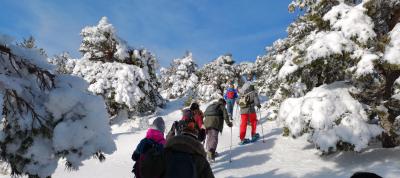 Raquetas de nieve en Peñalara.