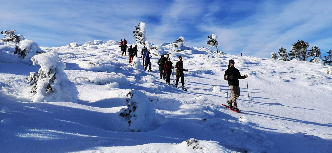 Raquetas de nieve en La Pinilla