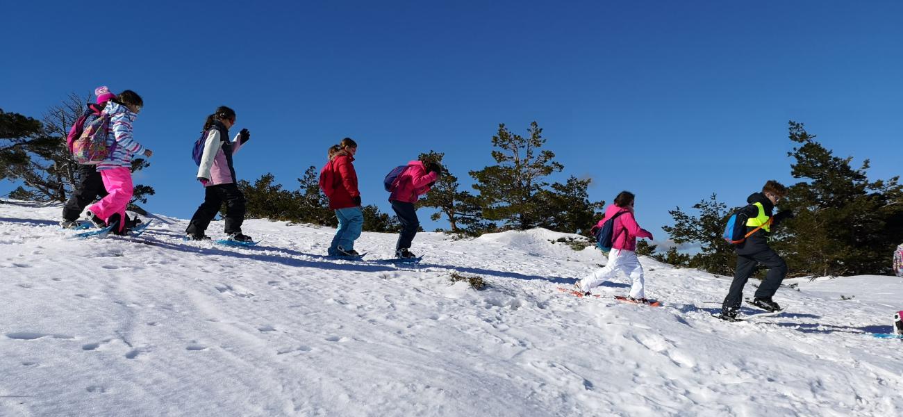 Raquetas de nieve + construcción de Iglú + trineo