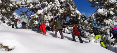 Raquetas de nieve en el Valle de Arán.  