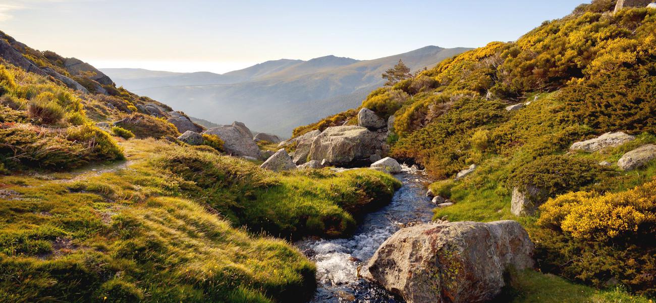 Madrid - Parque Nacional de la Sierra del Guadarrama 