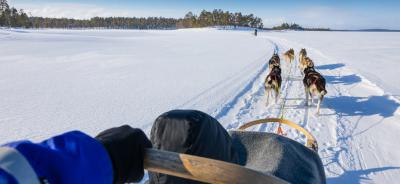 El lago Inari trineo de perros, motos y raquetas