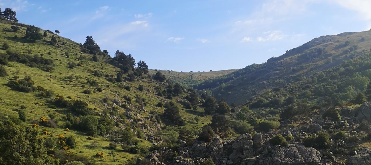 Ruta de senderismo en el P.N. de la Sierra del Guadarrama.